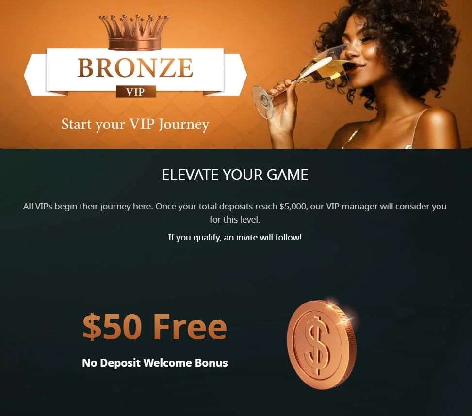 bronze vip winaday casino